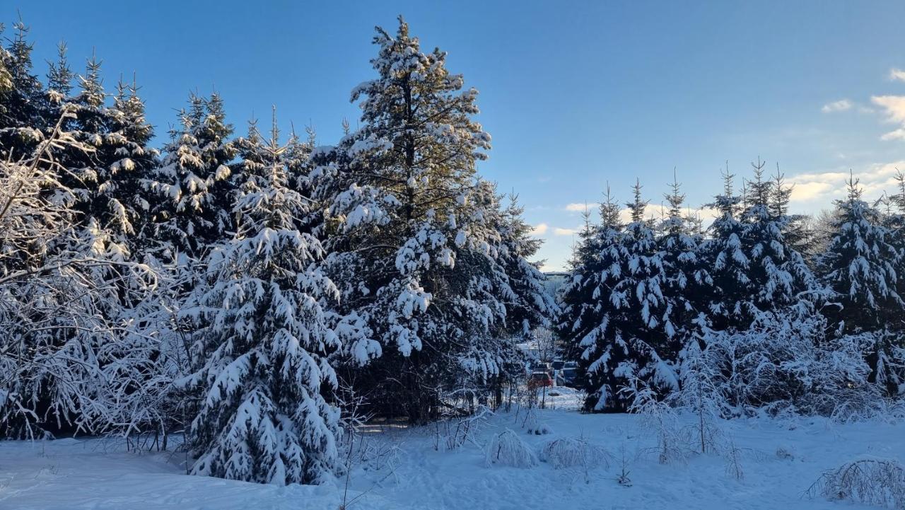 Hotel Zum Gruendle Oberhof  Zewnętrze zdjęcie