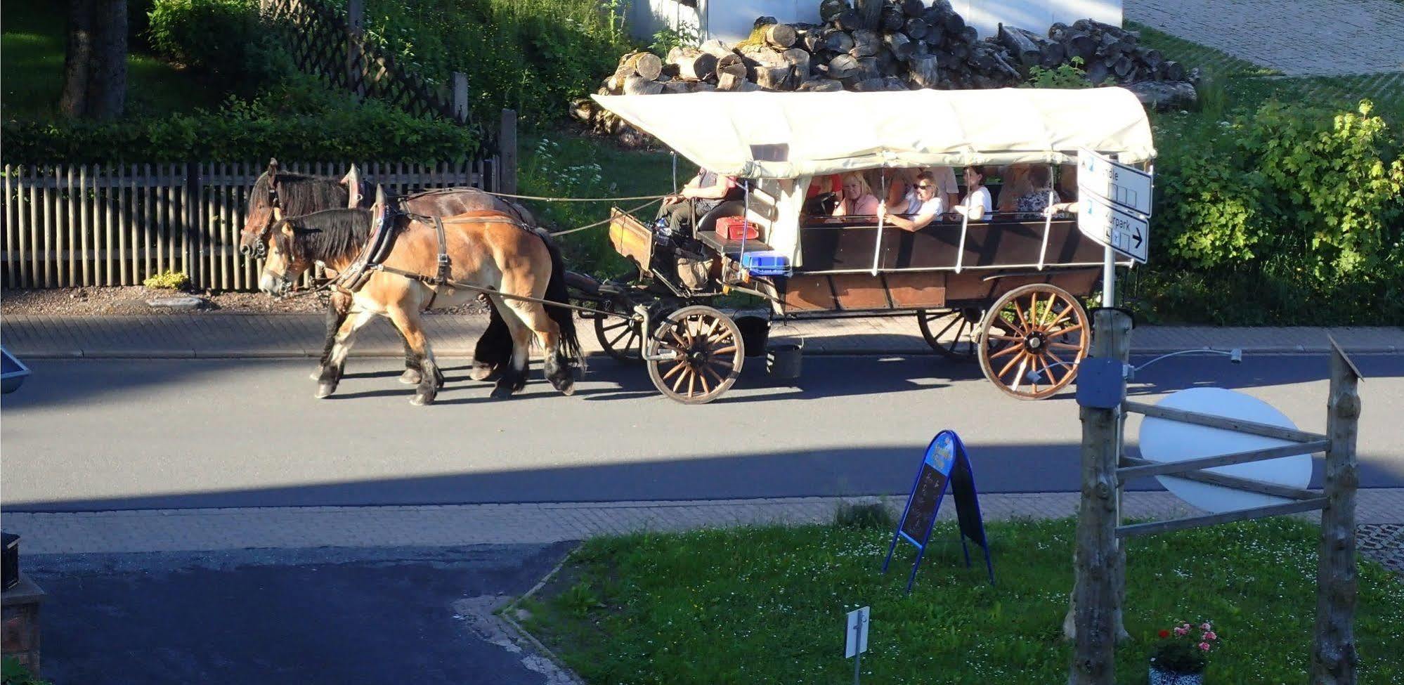 Hotel Zum Gruendle Oberhof  Zewnętrze zdjęcie